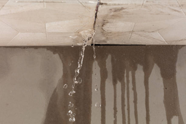 Professional Sewage Cleanup technician working in Elkins, AR